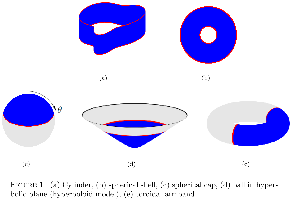 (a) Cylinder, (b) spherical shell, (c) spherical cap, (d) ball in hyperbolic plane (hyperboloid model), (e) toroidal armband.