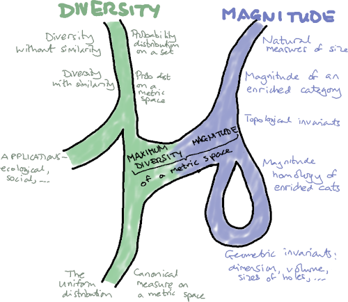 diagram
of diversity and magnitude concepts